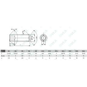 DIN 913, ISO 4026, UNI 5923 hex socket set screw with flat point